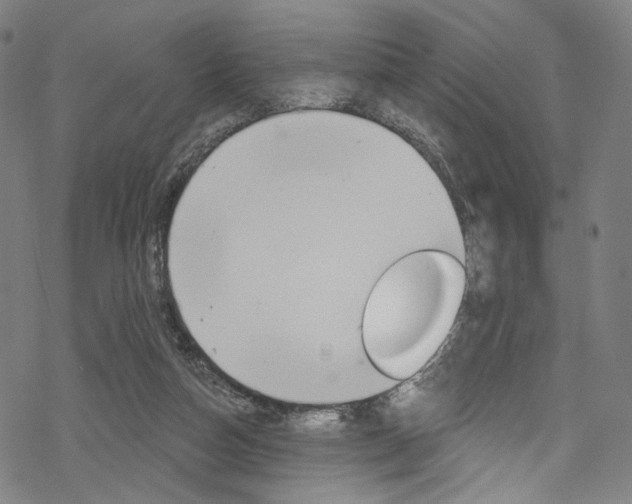 X0000068840162200605050952