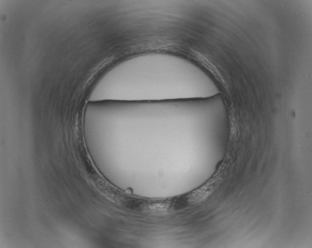 X0000068840163200605050952