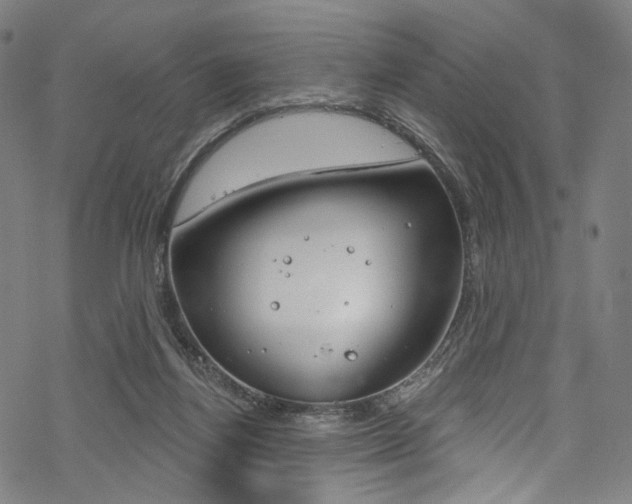 X0000068840164200605050952