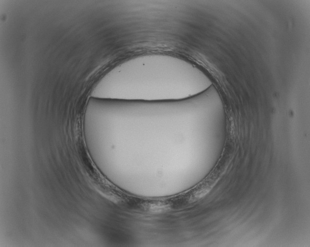 X0000068840165200605050952