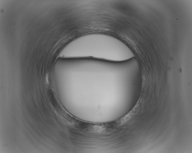 X0000068840166200605050952