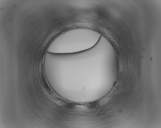 X0000068840167200605050952