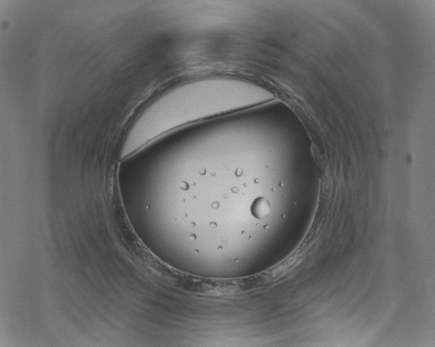 X0000068840168200605050952