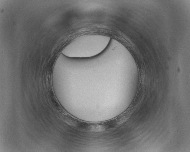 X0000068840169200605050952