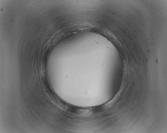 X0000068840170200605050953