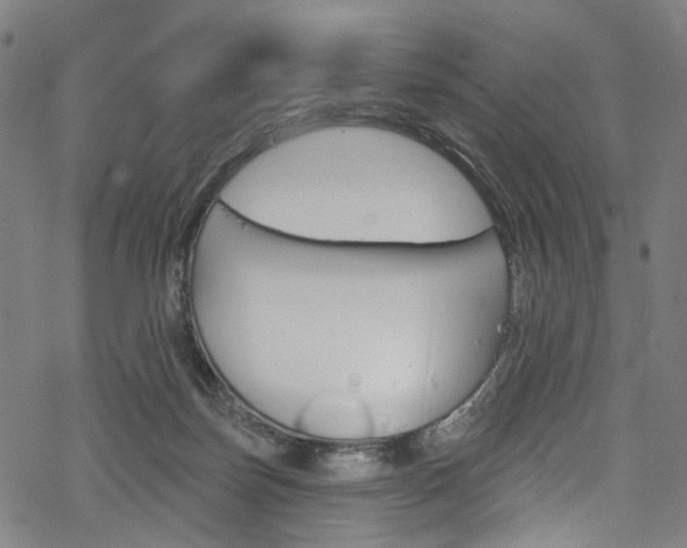 X0000068840171200605050953