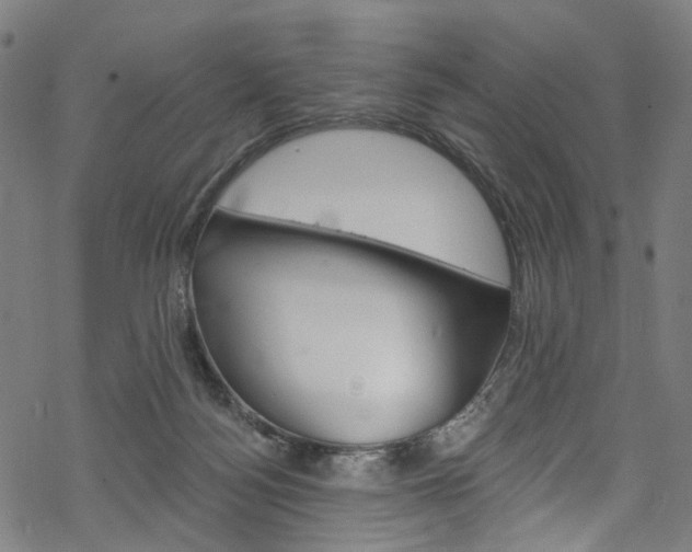 X0000068840172200605050953