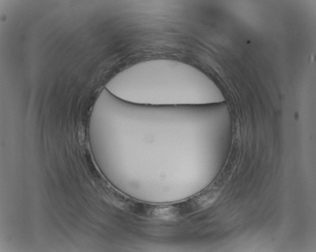 X0000068840173200605050953