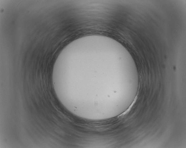 X0000068840174200605050953