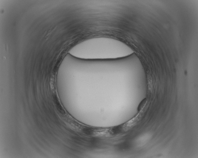 X0000068840175200605050953