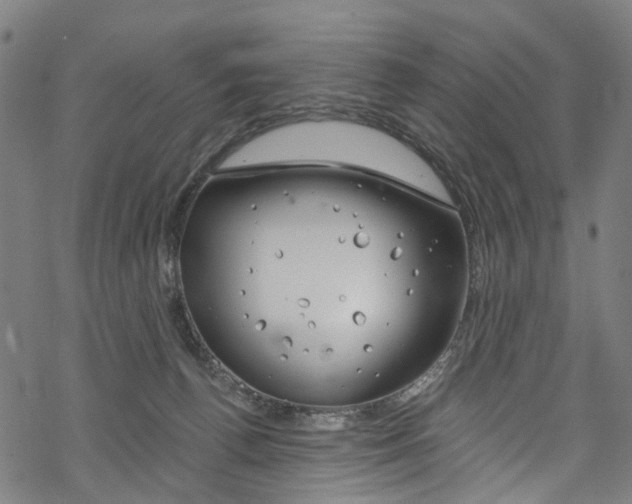 X0000068840176200605050953