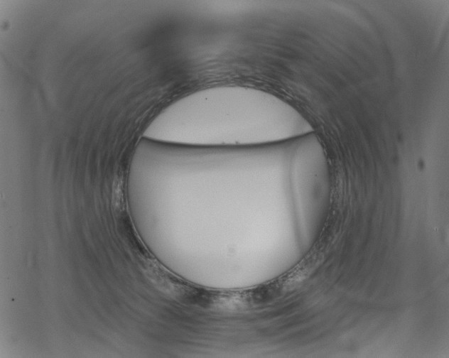 X0000068840177200605050953