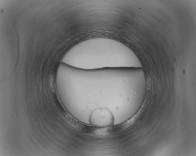 X0000068840178200605050953