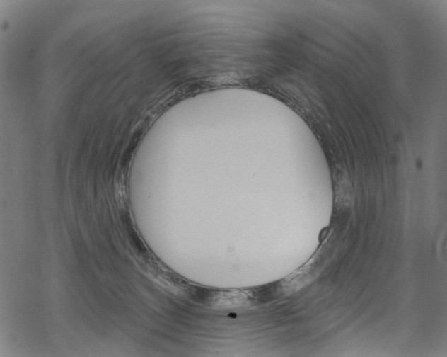 X0000068840179200605050953