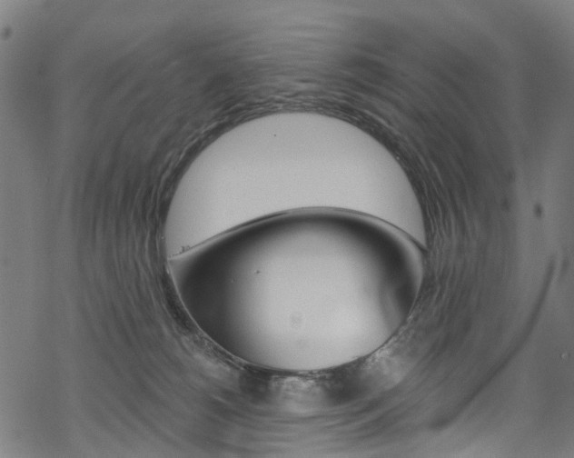 X0000068840180200605050953