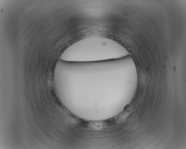 X0000068840181200605050953