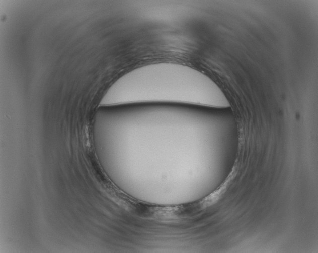 X0000068840182200605050953