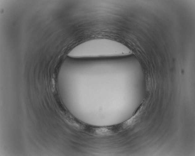 X0000068840183200605050953