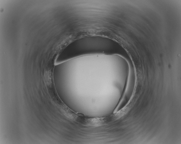 X0000068840184200605050953