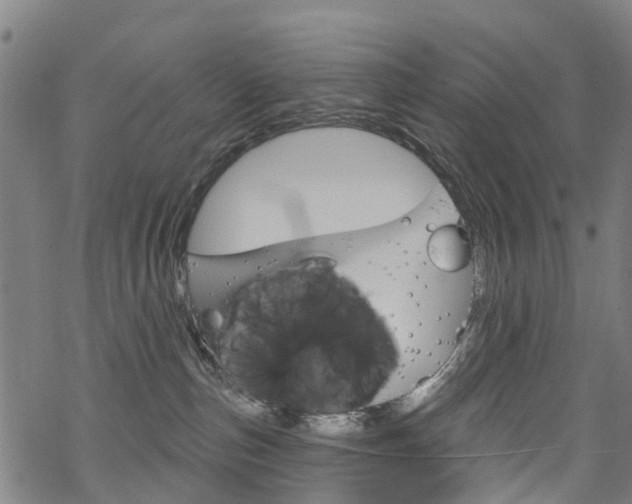 X0000068840187200605050953