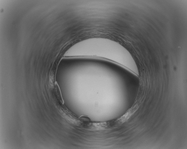 X0000068840188200605050953