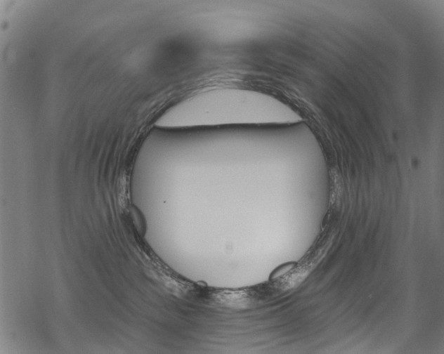 X0000068840189200605050953