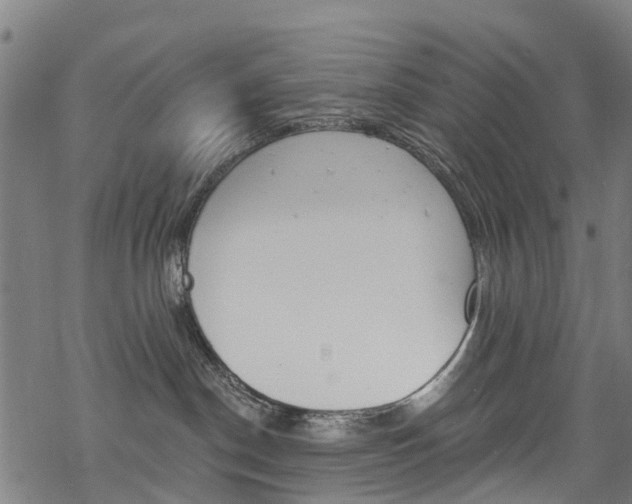 X0000068840190200605050953