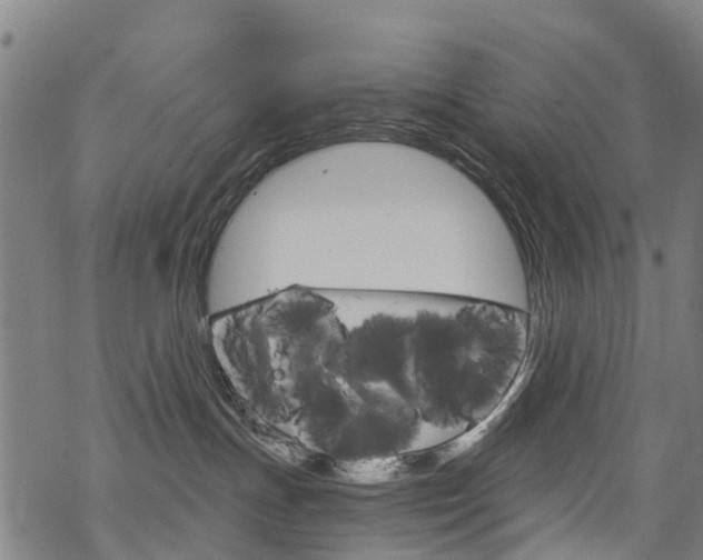 X0000068840191200605050953