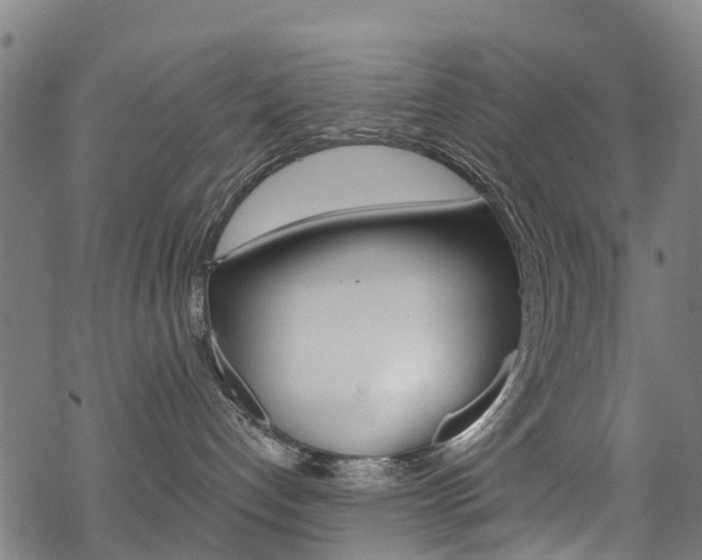 X0000068840192200605050953