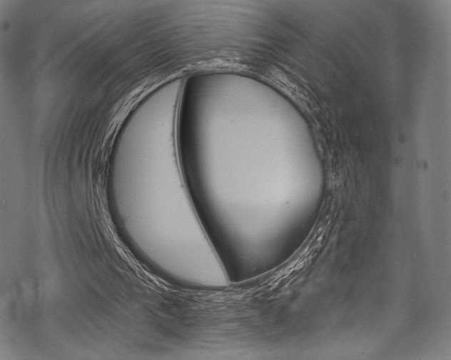 X0000068840193200605050952