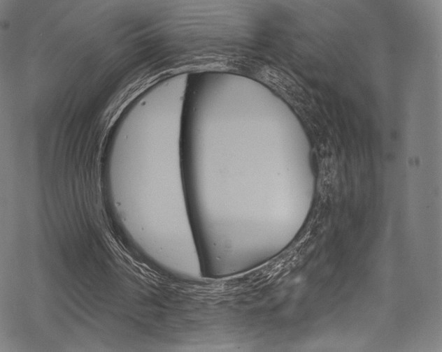 X0000068840194200605050952