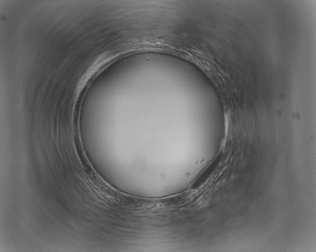 X0000068840195200605050952