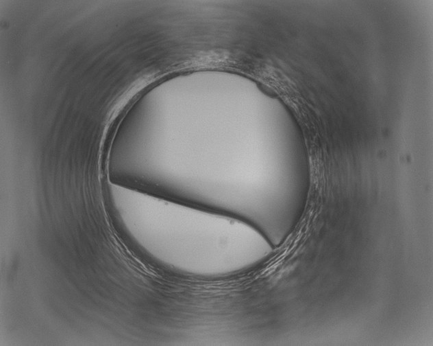 X0000068840196200605050952