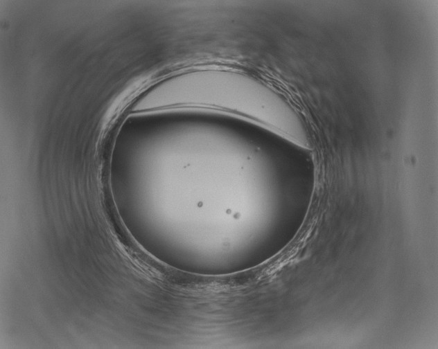 X0000068840197200605050952