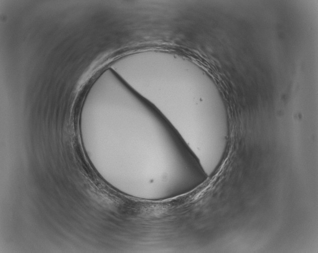 X0000068840198200605050952