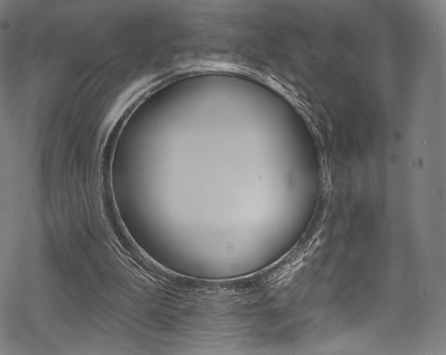 X0000068840199200605050952