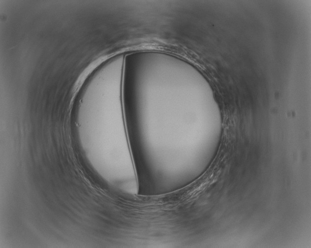 X0000068840200200605050952