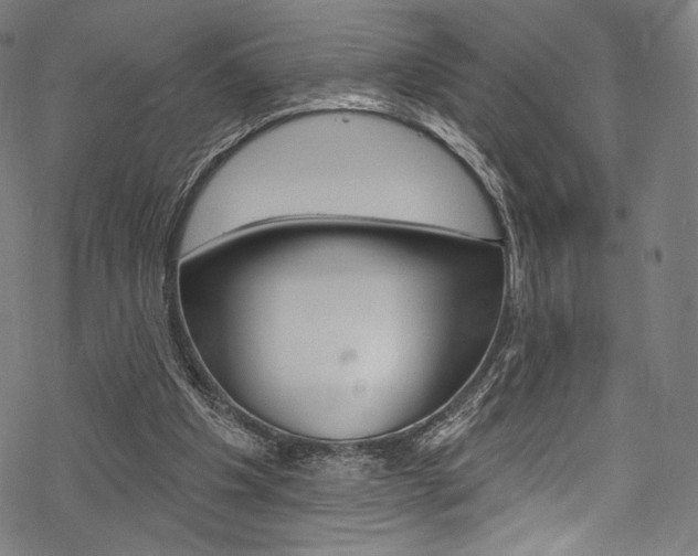 X0000068840201200605050952