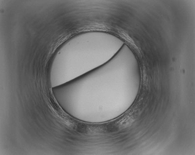 X0000068840202200605050952