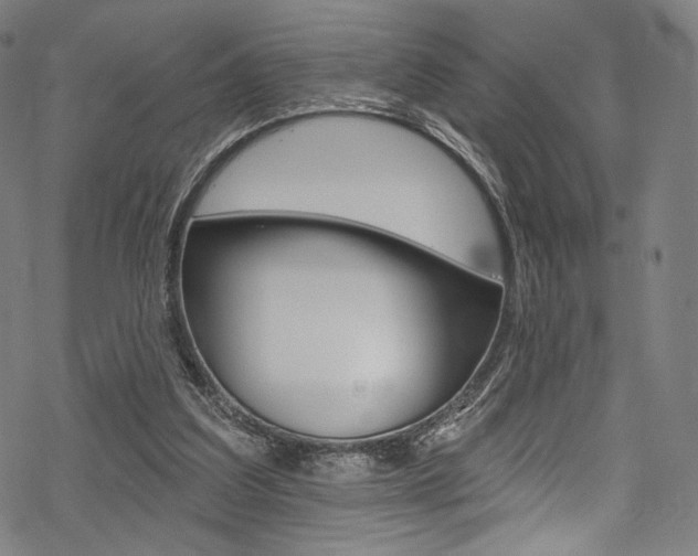 X0000068840203200605050952