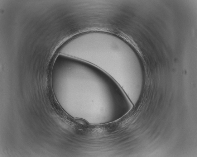 X0000068840204200605050952