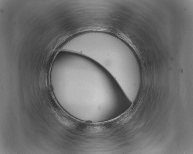 X0000068840205200605050952