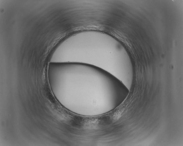 X0000068840206200605050952