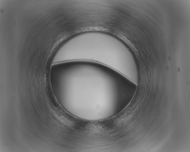 X0000068840207200605050952