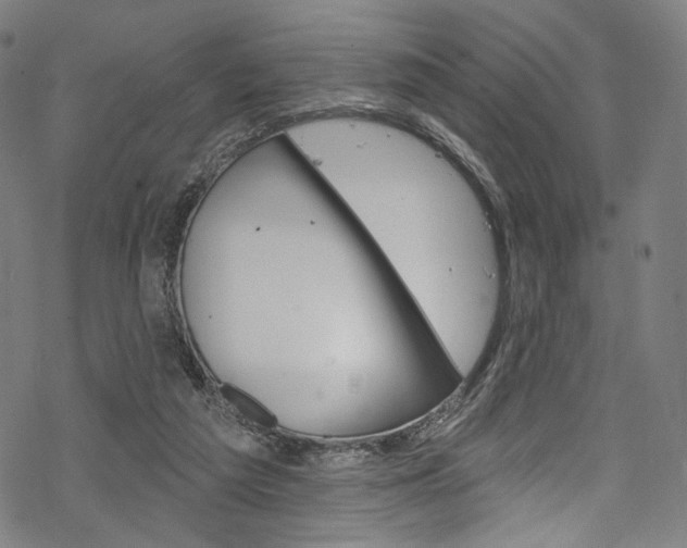 X0000068840209200605050952