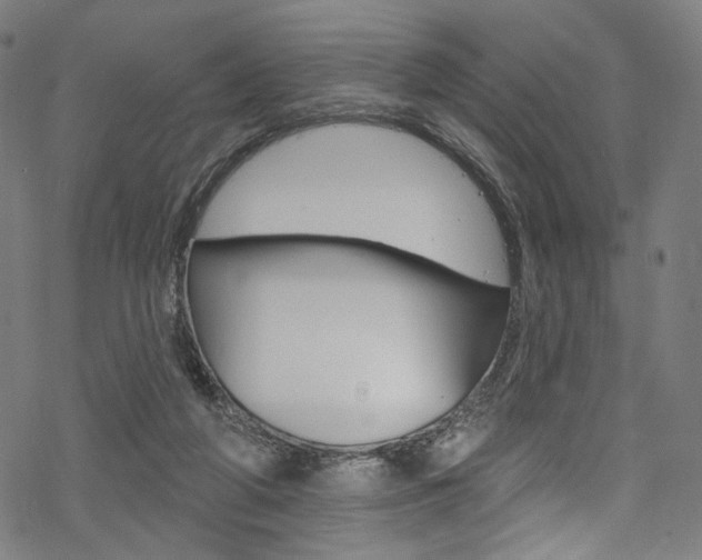 X0000068840210200605050952