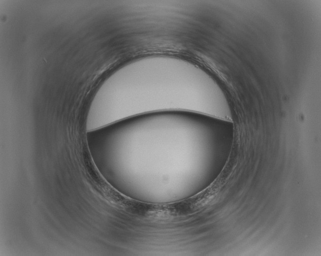 X0000068840211200605050952