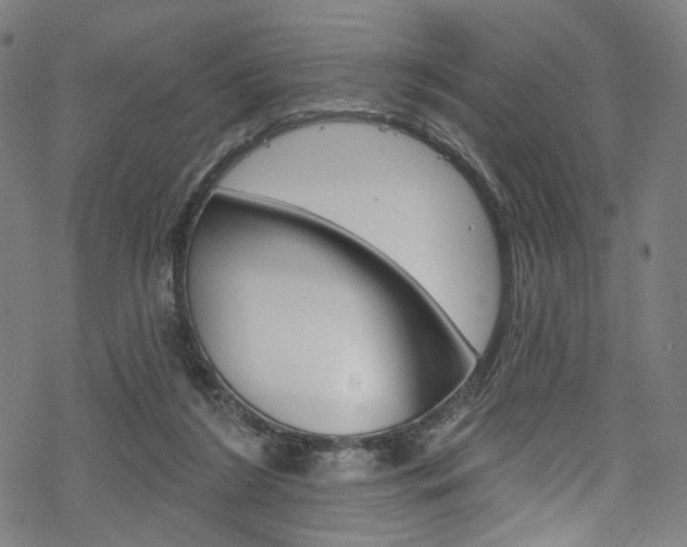 X0000068840212200605050952