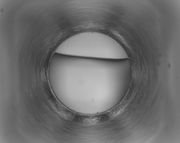 X0000068840213200605050952