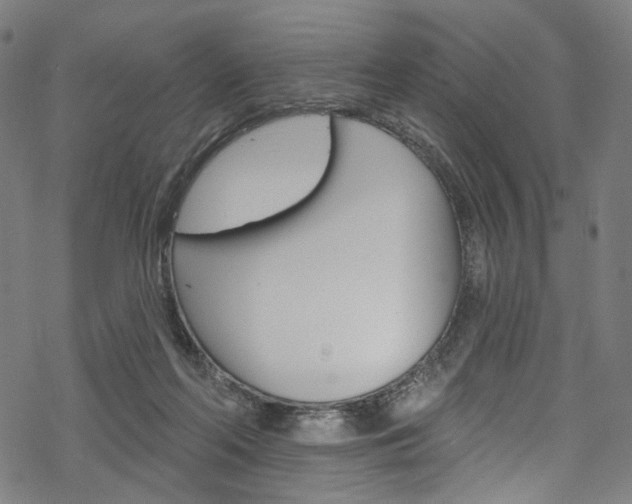 X0000068840214200605050952